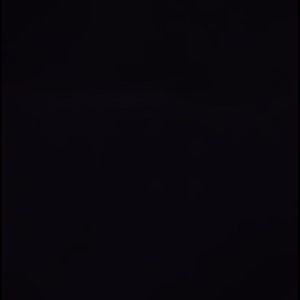 Meet your Posher, Terry